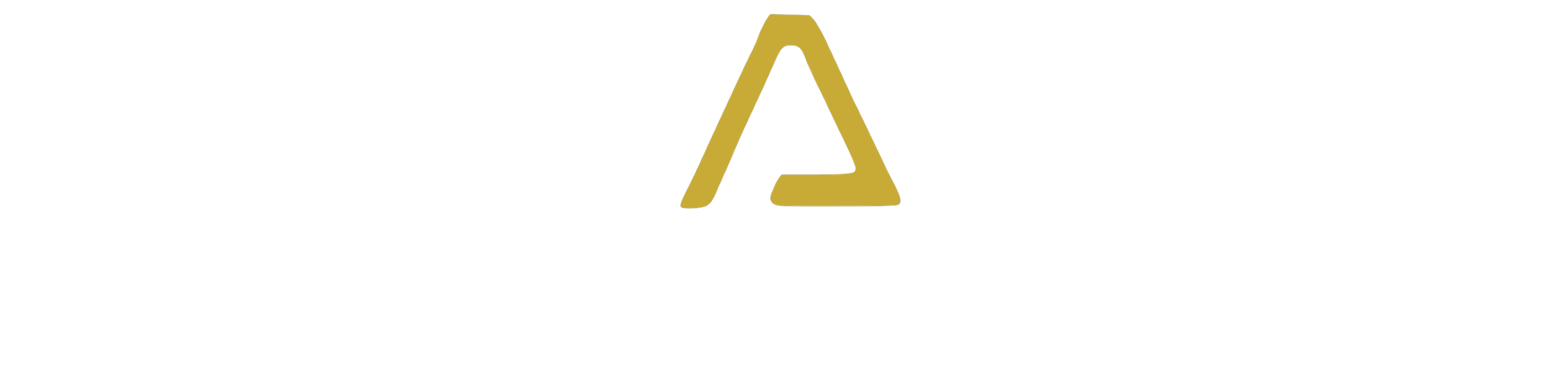 HUMANITI GROUP